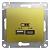 Glossa розетка USB A+C, 5В, 1 порт x 2,4 А, 2 порта х 1,2 А, механизм, фисташковый GSL001039